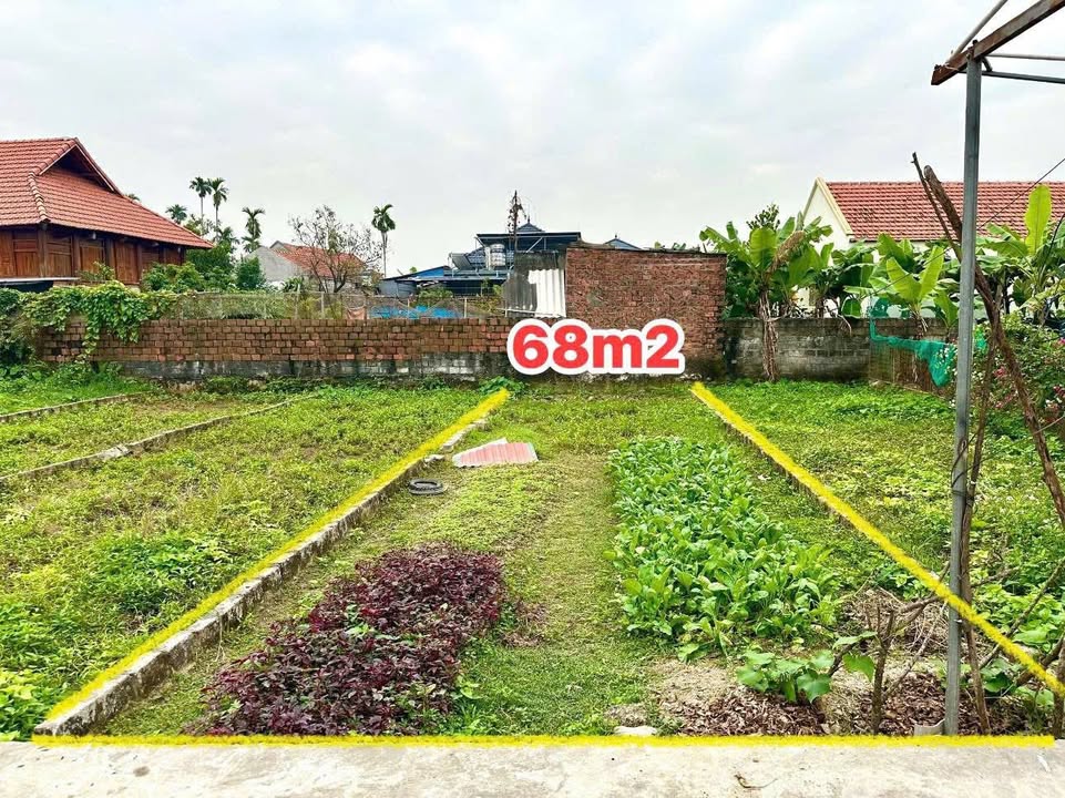 Đất nền Kênh Giang 68m² chỉ 580 triệu - Cơ hội đầu tư hiếm có!