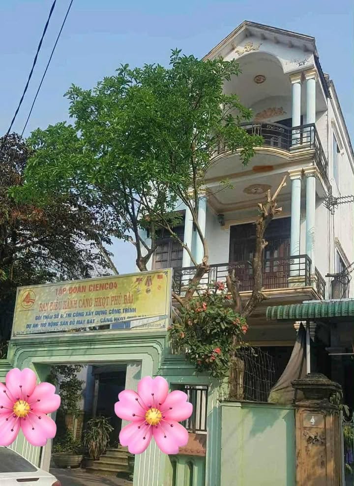 Nhà 3 tầng mặt tiền Nguyễn Thanh Ái - Phú Bài 231.5m² giá 3 tỷ - Đầu tư sinh lời!