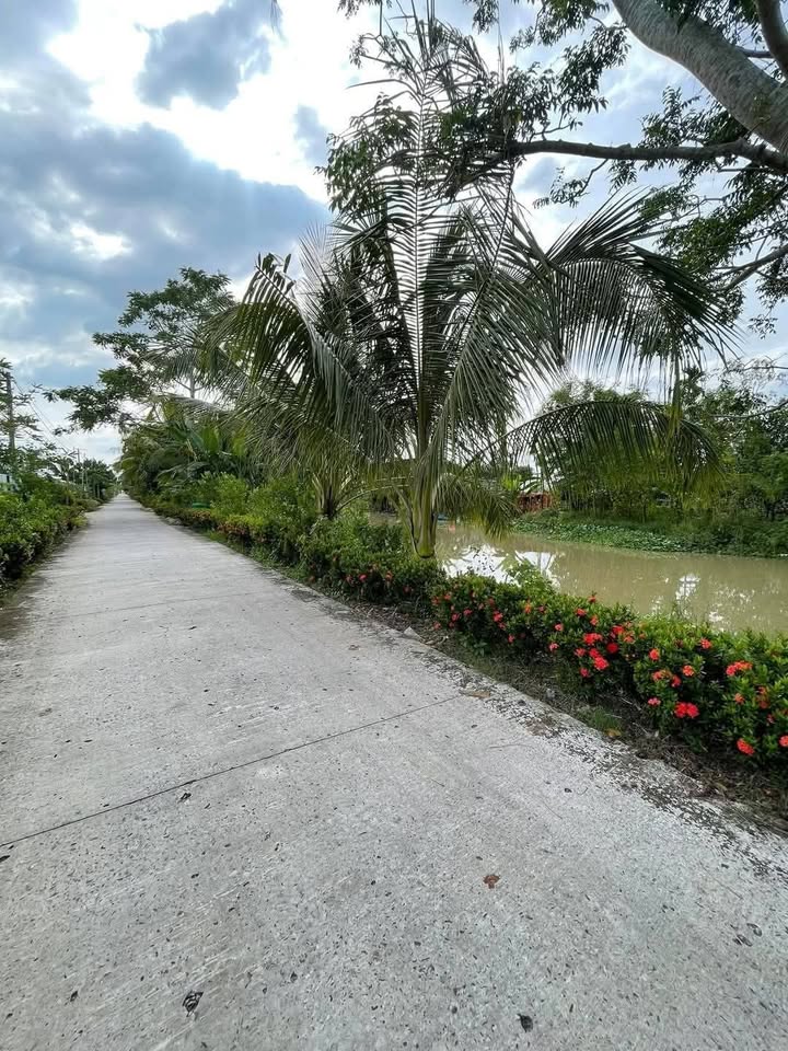 Đất nền thổ cư Trường Long A, Châu Thành A, 1000m² chỉ 1.02 tỷ - Đường ô tô tới nơi!