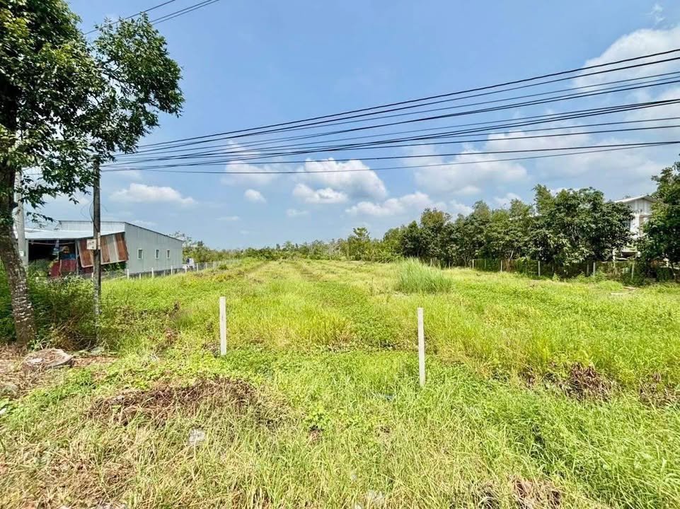 Đất nền Quốc Lộ 61C, Phong Điền, 7850m² - Vị trí đắc địa, giá chỉ 2.9 triệu/m²!