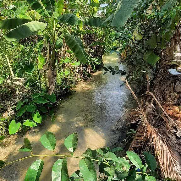 Đất 1,3 sào tại Hàm Phú, Hàm Thuận Bắc chỉ 180 triệu - Cơ hội đầu tư hấp dẫn!