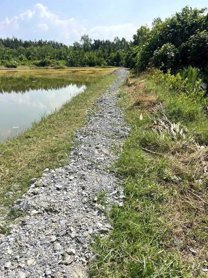 Đất trồng cây lâu năm xã Hiệp Phước 377,5m² giá 750 triệu - Sổ hồng chính chủ