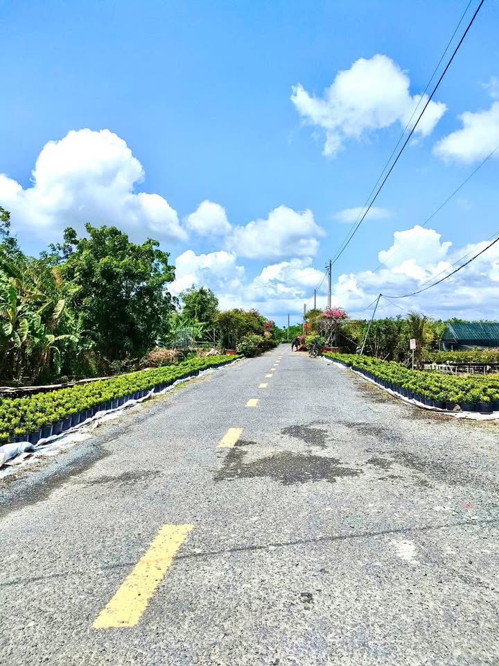 Đất mặt tiền Kênh Mương Chùa, Sa Đéc 1521m² giá 3.5 tỷ - Cơ hội đầu tư tuyệt vời!