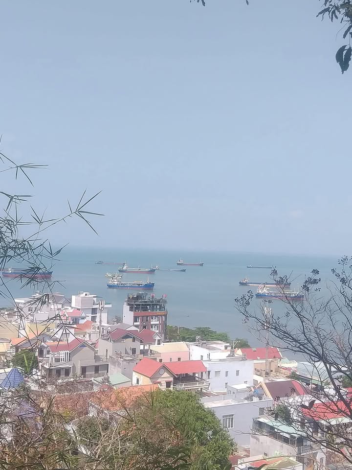 Đất Mặt Tiền Trần Phú, P.5, Vũng Tàu 1500m² - Đầu Tư Sinh Lời!