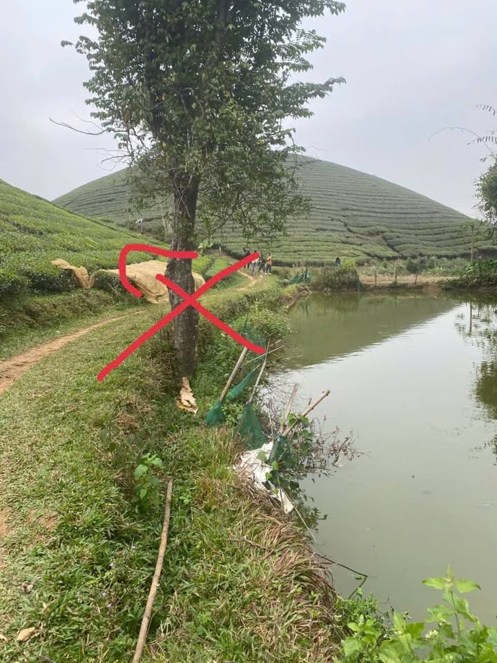 Đất trồng cây lâu năm tại Long Cốc, Tân Sơn, Phú Thọ 960m² giá 299 triệu - Sổ hồng chính chủ