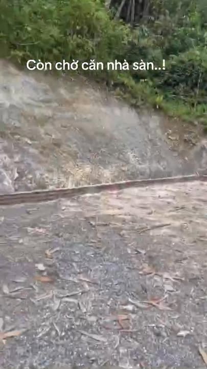 Đất nền Phú Cường Tân Lạc 233m² giá 300 triệu - Mặt tiền 12m, view cánh đồng