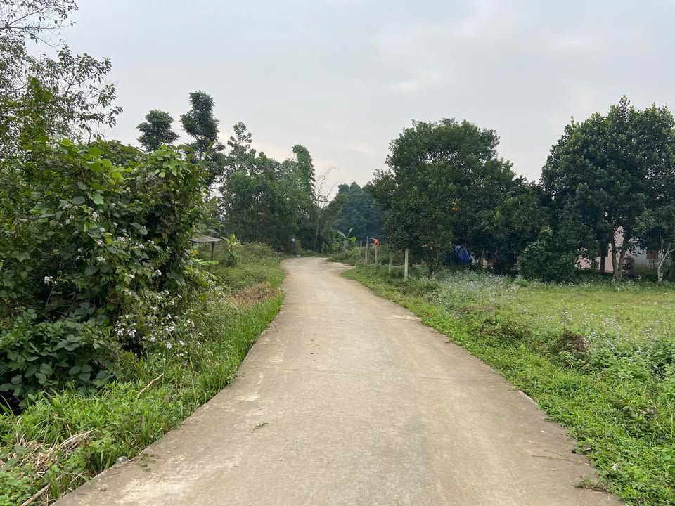 Đất nền Yên Mông Hòa Bình 500m² giá chỉ 999 triệu - Sổ đỏ chính chủ!