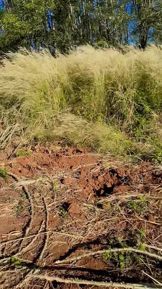 Đất nền tại Ia Le, Chư Pưh, Gia Lai 3600m² giá 95 triệu - Nhanh tay sở hữu!