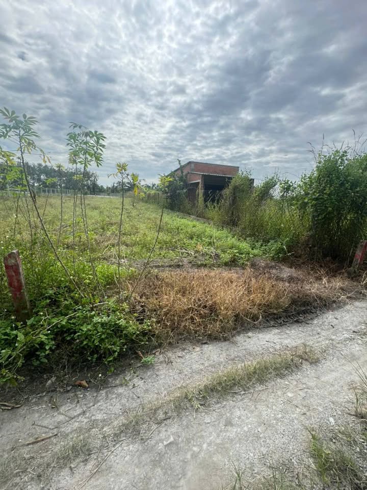 Đất Kp Lộc Khê, Gia Lộc, Trảng Bàng 360m² giá 550 triệu - Vị trí đẹp, pháp lý rõ ràng!