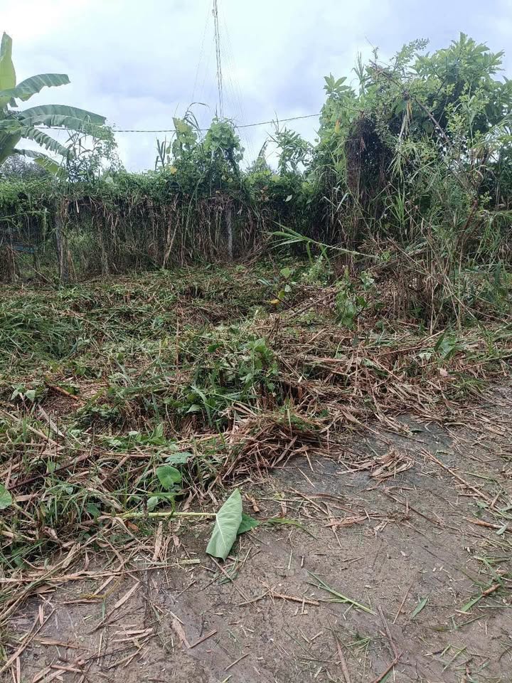 Đất nền thổ cư An Bình, Cần Thơ 60m² giá chỉ 300 triệu - Cơ hội đầu tư tuyệt vời!