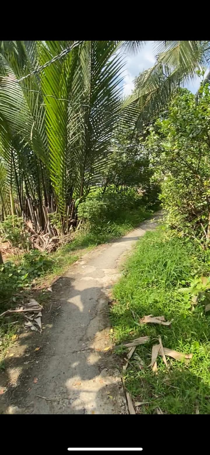 Đất nền 150m² An Bình Phong Điền giá 399 triệu - Cơ hội đầu tư sinh lời!