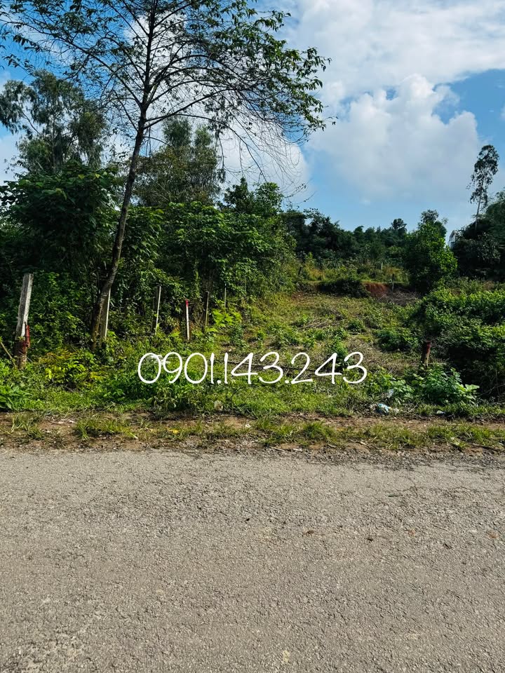 Đất nền An Phú, Tam Kỳ 143m² giá 1.1 tỷ - Mặt tiền đường nhựa thuận lợi