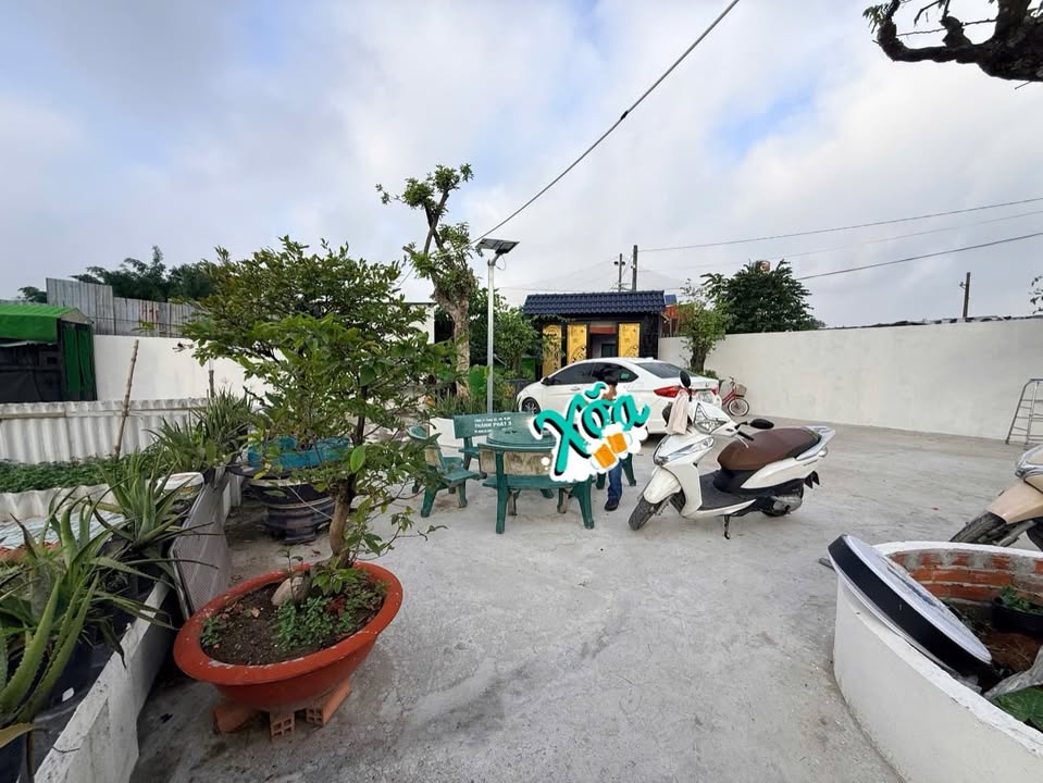 Nhà vườn Hóc Môn 1619m² giá 8.299 tỷ - Sẵn sàng vào ở ngay!