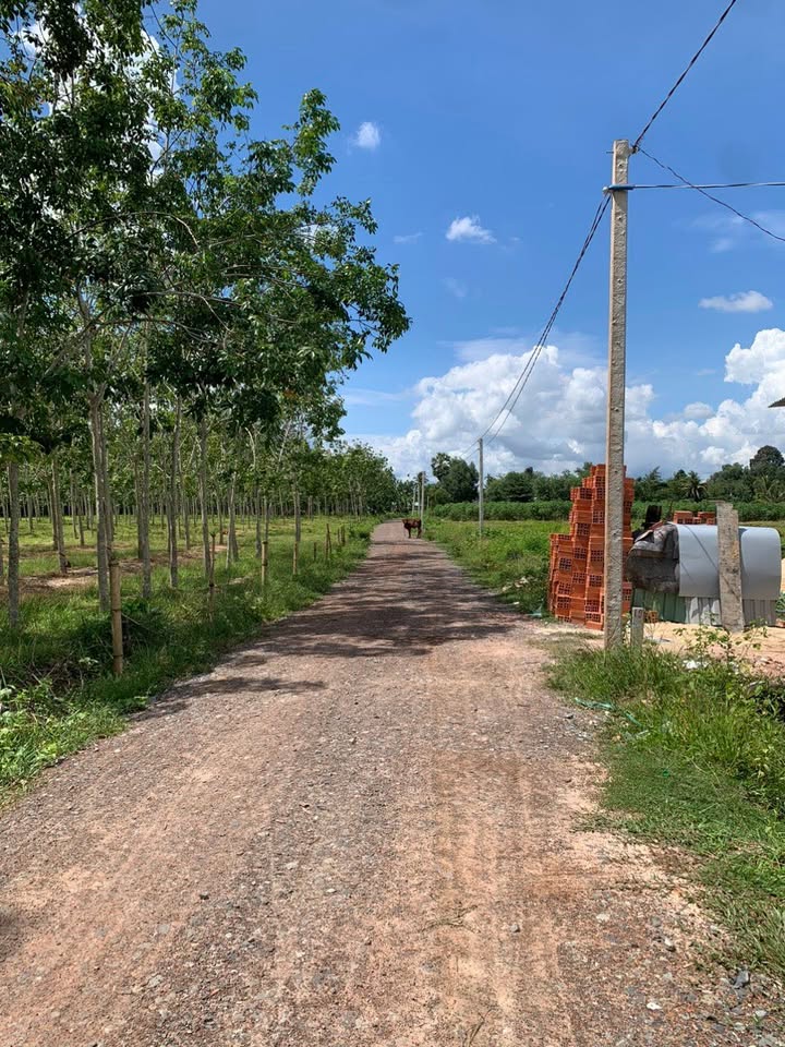 Đất nền Hòa Hiệp Tân Biên 154m² giá chỉ 125 triệu - Cơ hội đầu tư tốt!