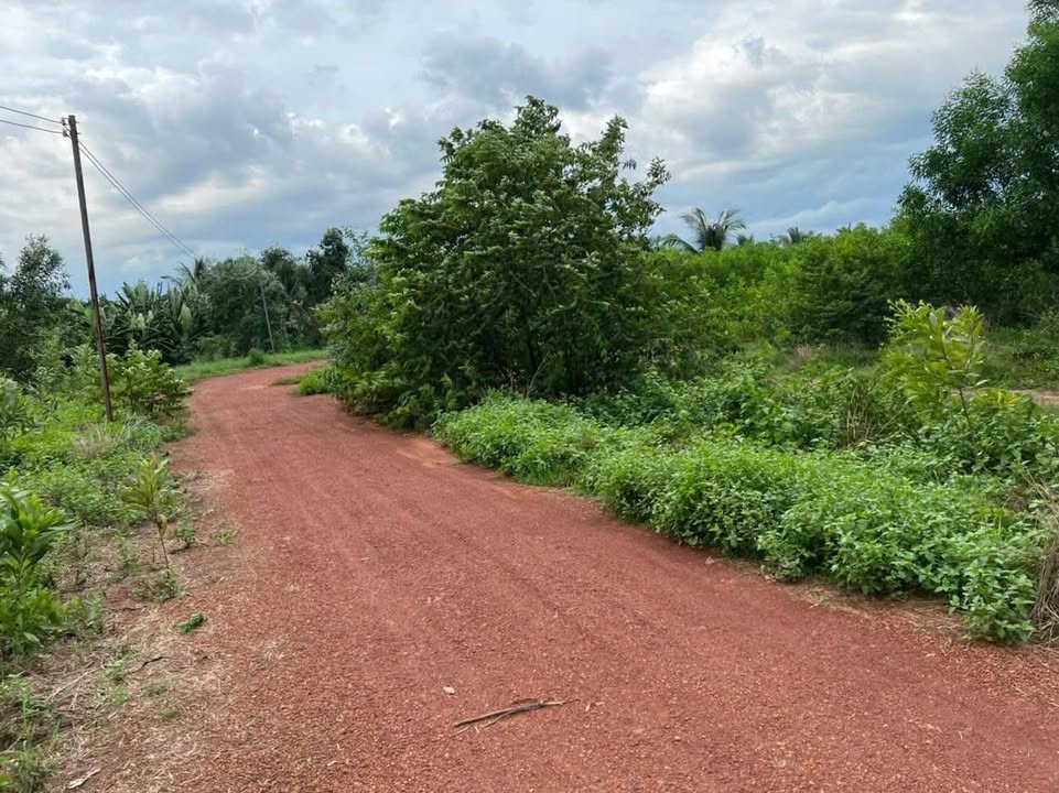 Đất vườn 2400m² tại ấp 5, Tân An, Vĩnh Cửu - Giá chỉ 1.5 tỷ, view suối tuyệt đẹp!