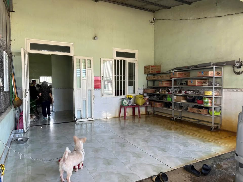 Nhà riêng Trảng Bom Đồng Nai 100m² giá 1.3 tỷ - Sổ đỏ chính chủ