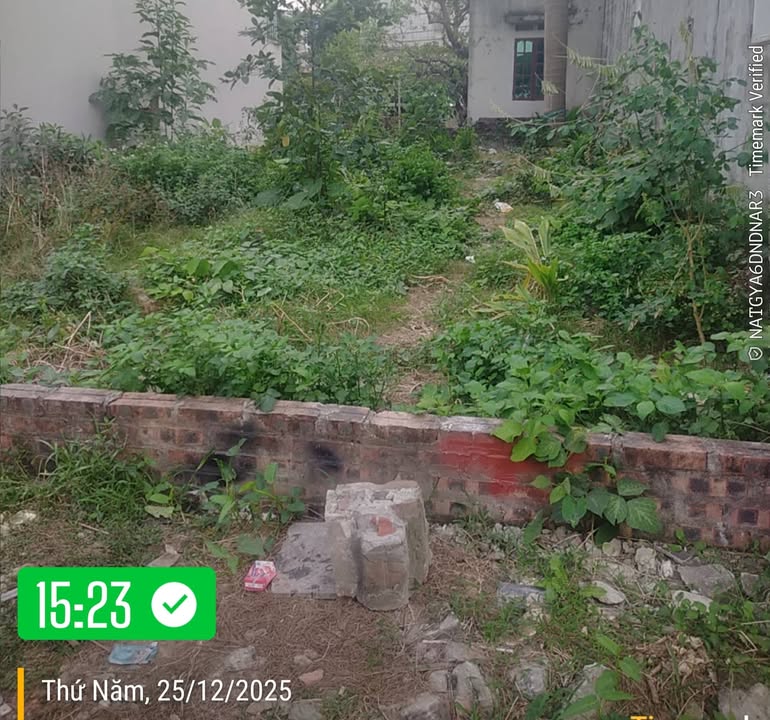 Đất nền Kim Chung Đông Anh 70m² giá 9 tỷ - Chính chủ bán gấp trong 15 ngày!