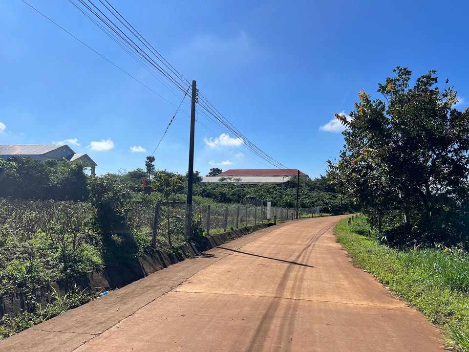 Đất Phúc Thọ Lâm Hà 1000m² giá 600 triệu - Sổ đỏ chính chủ, thu hoạch cà phê ngay!