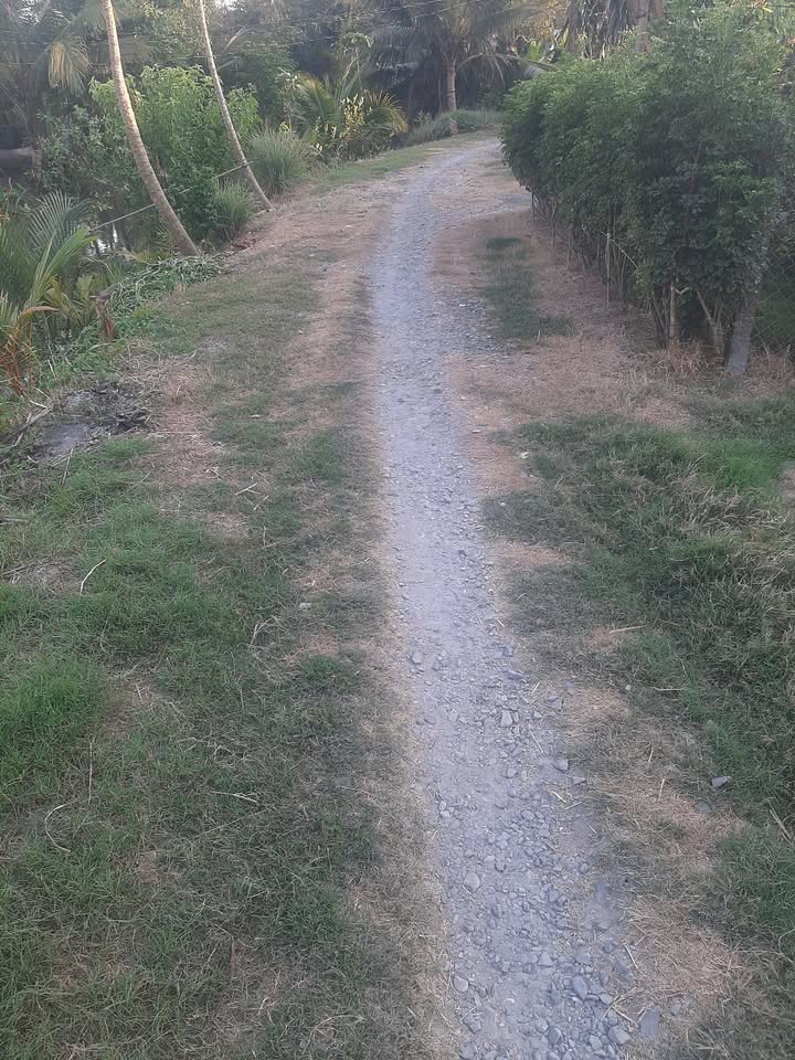 Bán đất Vĩnh Thới, Lai Vung, Đồng Tháp 770m² - Giá chỉ 230 triệu, thương lượng ngay!