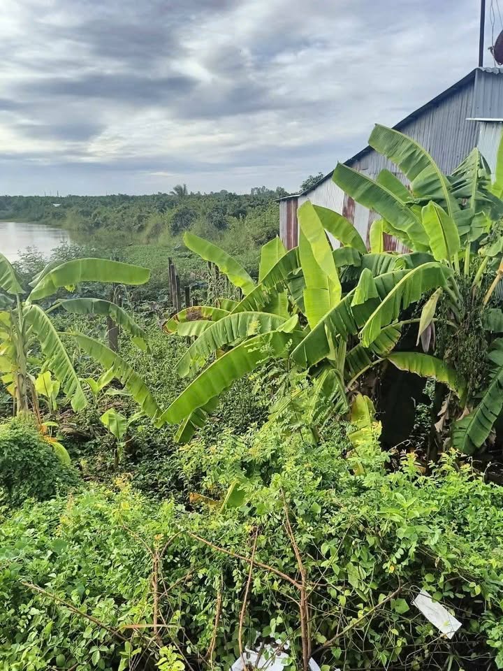 Đất mặt tiền Võ Văn Kiệt 4600m² giá 2.8 tỷ - Cơ hội đầu tư tuyệt vời!