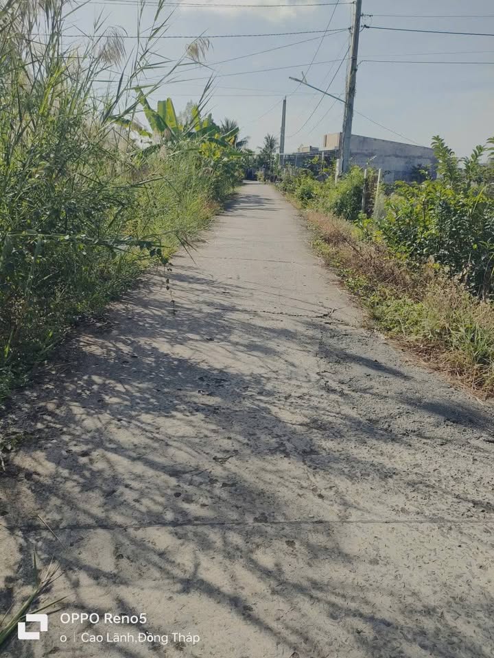 Lô đất đẹp view sông Mỹ Trà, Đồng Tháp 610m² giá 2 tỷ - Cơ hội đầu tư hấp dẫn!