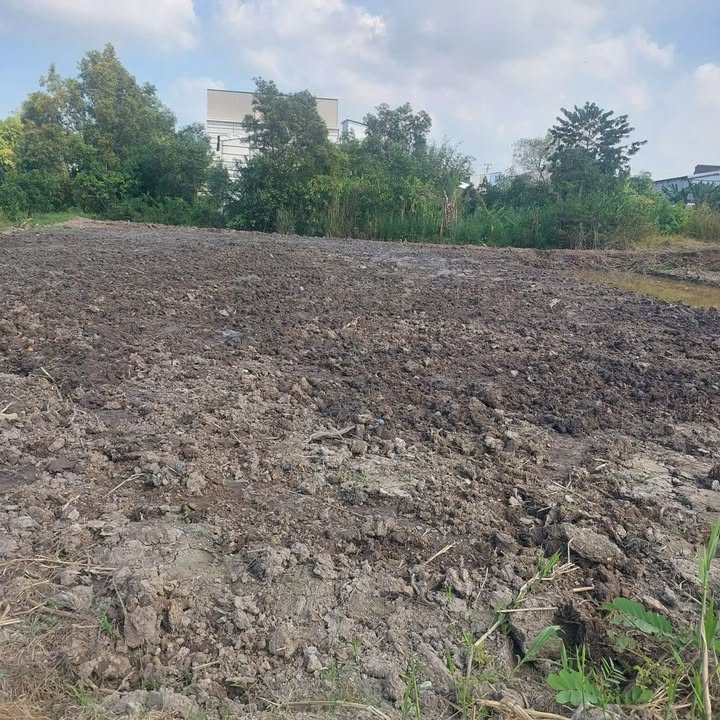 Đất nền Tân Phú Trung 194m² giá chỉ 290 triệu - Sổ hồng chính chủ!