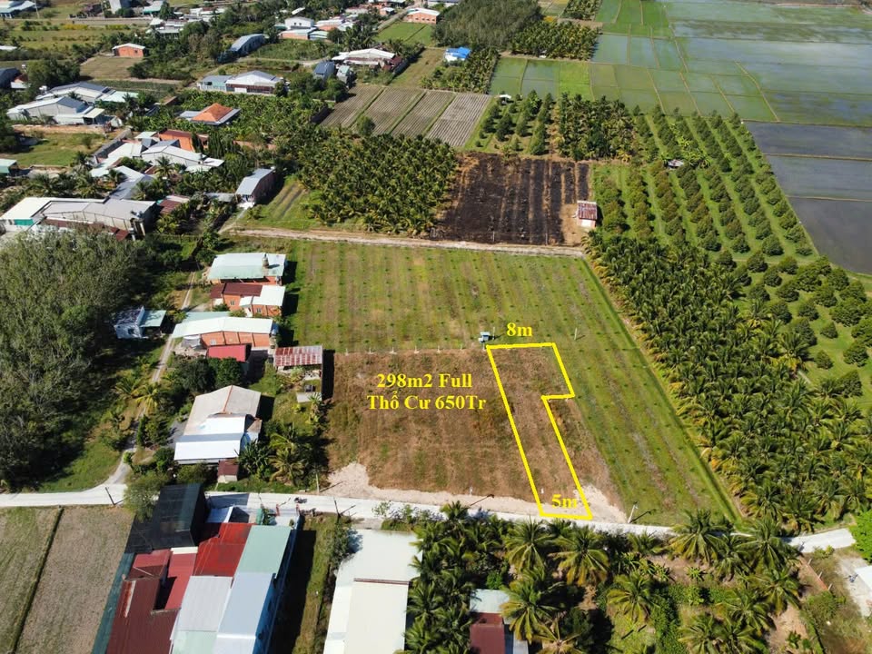 Đất thổ cư Phước Hội, Tây Ninh 298m² giá chỉ 650 triệu - Cơ hội đầu tư tuyệt vời!