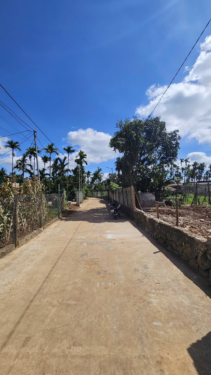 Đất thổ cư mặt tiền đường bê tông P. Thống Nhất 245m² giá 105 triệu - Cơ hội đầu tư tuyệt vời!