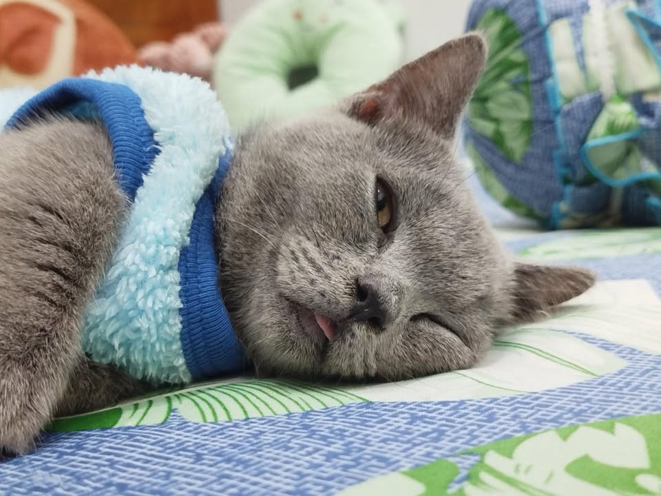 Đất Ea Knốp 6,5 sào giá thỏa thuận - Đường ô tô vào tận nơi!