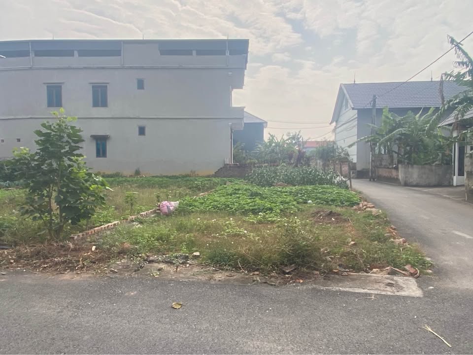 Đất nền Minh Quang, Tam Đảo 108m² giá 800 triệu - Vị trí đắc địa, giao thông thuận lợi!