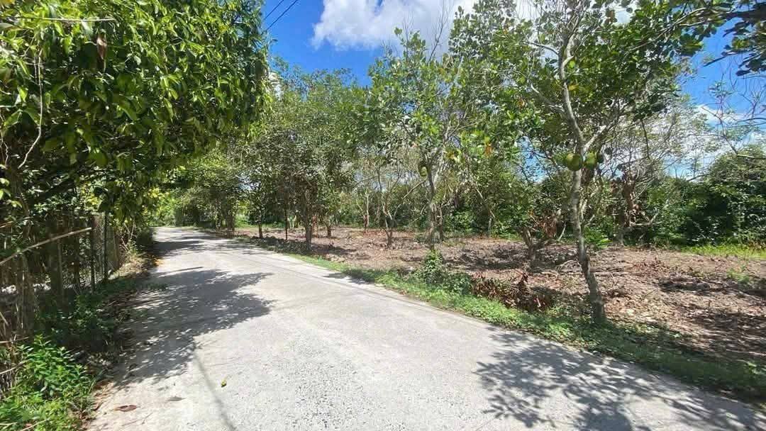 Đất nền liền kề Trường Long, Cần Thơ 91m² giá 500 triệu - Đường ô tô thuận tiện!