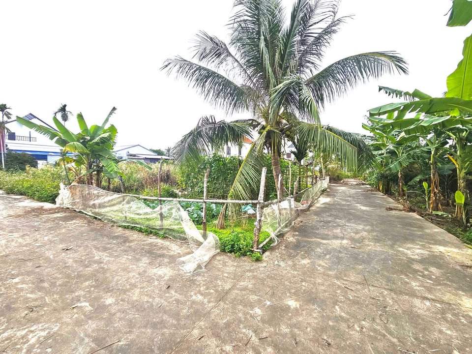 Đất nền Tràng Cát Hải Phòng 47m² giá 1.25 tỷ - Đầu tư sinh lời ngay!