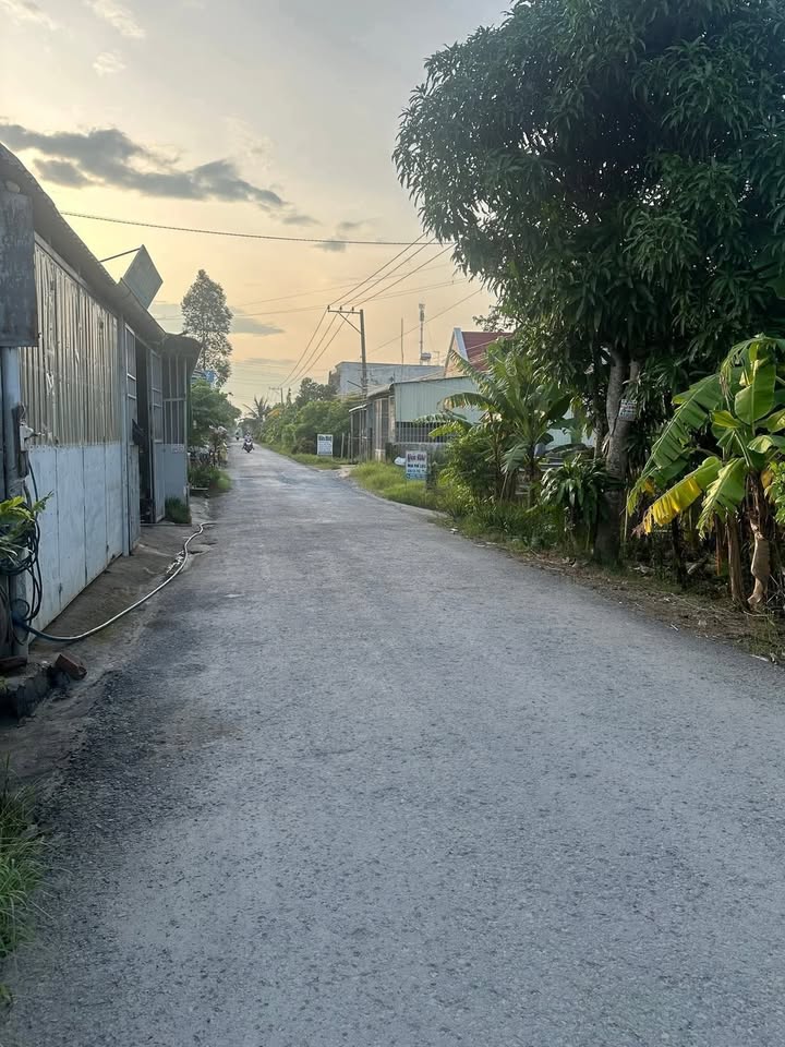 Đất nền Cái Bè 260m² giá 1 tỷ - Đầu tư sinh lời tuyệt vời!