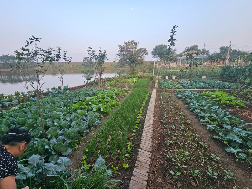 Đất nền Hát Môn, Phúc Thọ 55m² - Đầu tư sinh lời, view hồ Phú Mỹ