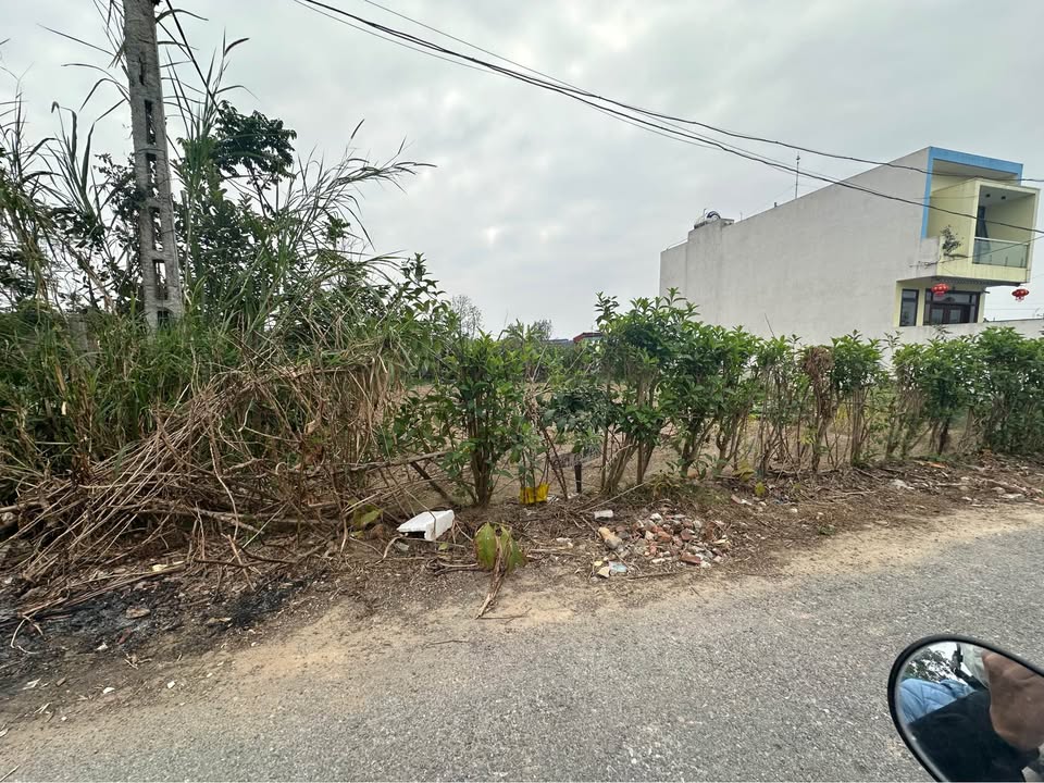 Đất nền Vũ Ninh, Kiến Xương 100m² giá thỏa thuận - Đất vuông vắn, sạch sẽ!