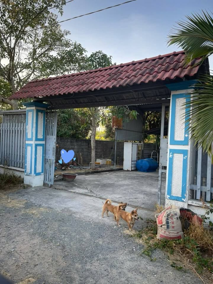 Đất nền Tóc Tiên Phú Mỹ 1040m² giá 4 tỷ - Cơ hội đầu tư tuyệt vời!