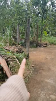 Đất nền Tư Nghĩa Quảng Ngãi 100m² giá 200 triệu - Khu dân cư thân thiện