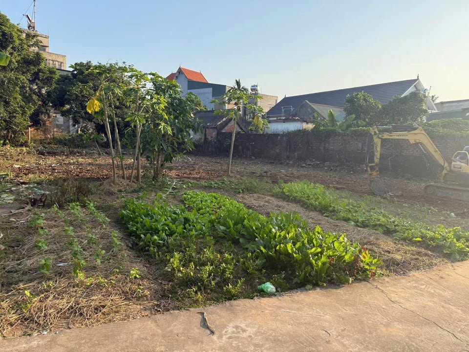 Đất thổ cư 361m² Vũ Lễ - Cơ hội đầu tư hiếm có chỉ 1x tỷ!