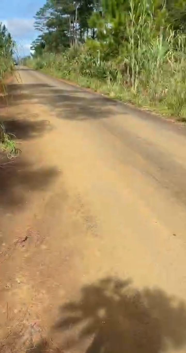 Đất Măng Đen 1000m² giá chỉ 580 triệu - Cơ hội đầu tư tuyệt vời!