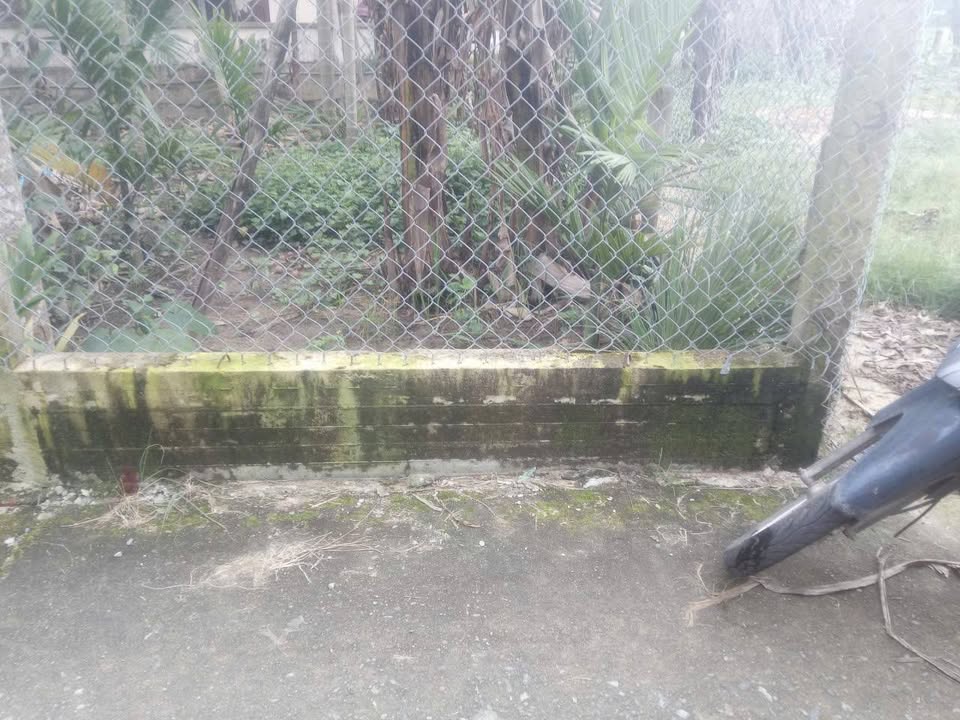 Đất ở Nghĩa Trung 14m² giá 400 triệu - Mặt tiền ô tô thông thoáng!