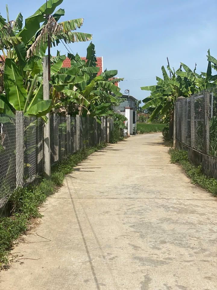 Đất nền An Phú Quảng Ngãi 102m² giá 500 triệu - Đường ô tô thông thoáng!