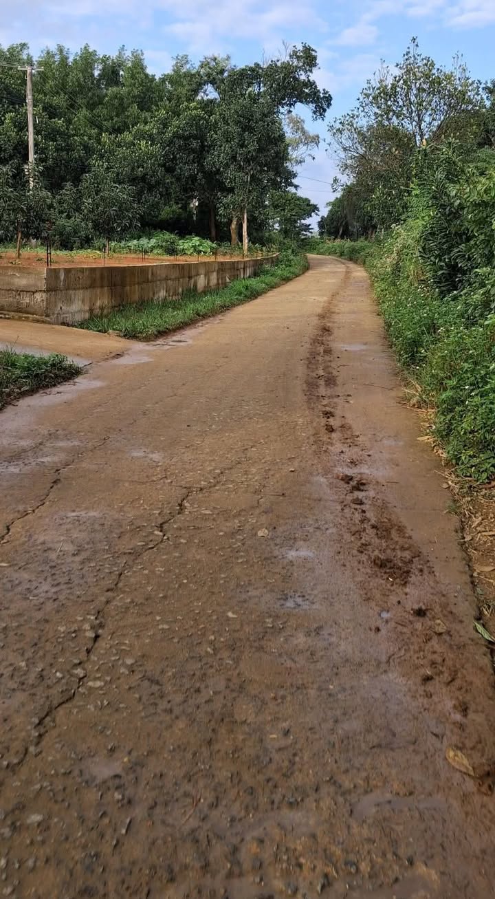 Đất nền đường Lộc Tự, xã Vạn Tường 174m² giá 500 triệu - Đầu tư sinh lời ngay!