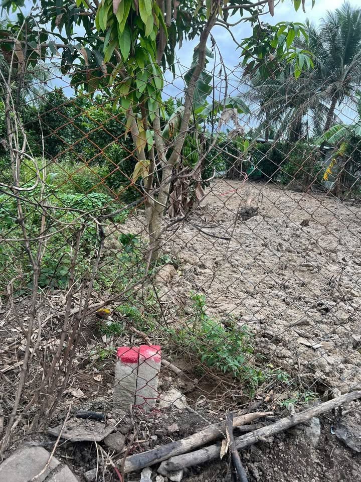 Đất nền 138m² đường Thành Hồ, xã Diên Phước, giá 1.38 tỷ - Cơ hội đầu tư hấp dẫn!