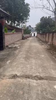 Đất nền Thanh Đình Việt Trì 204m² - Đầu tư sinh lời cao, vị trí đắc địa!