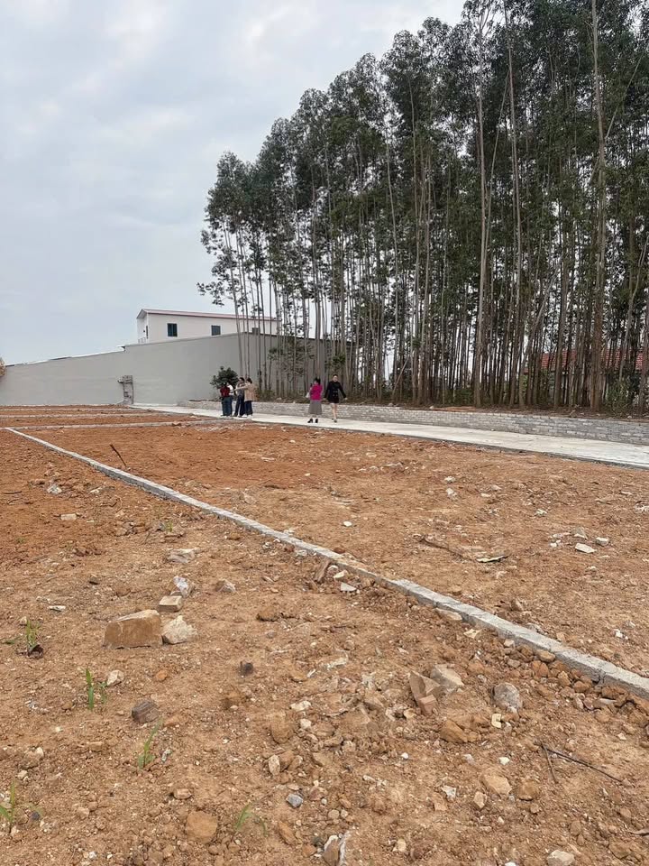 Đất nền Lan Mẫu, Lục Nam 150m² chỉ 400 triệu - Cơ hội đầu tư tuyệt vời!