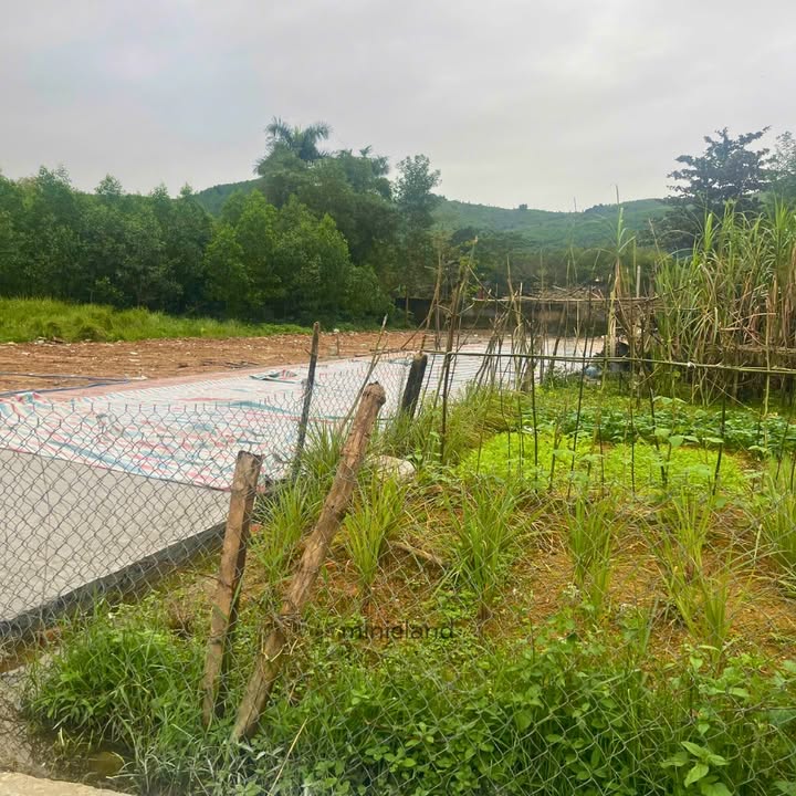 Đất nền Hòa Tiến Đà Nẵng 133m² giá 1.1 tỷ - Sổ đỏ chính chủ