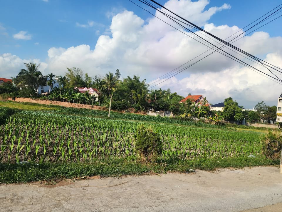 Đất nền Lê Lợi, phường Hoành Bồ, 120m² giá 1.1 tỷ - Vị trí đẹp, giao thông thuận lợi!