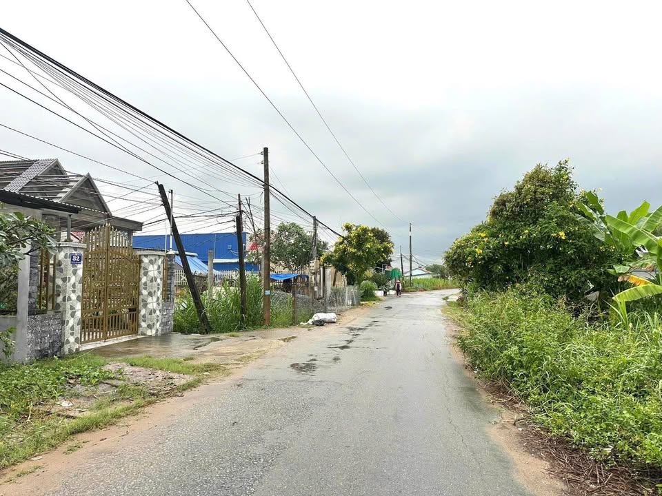 Đất thổ cư 2 mặt tiền đường Huỳnh Châu Sổ, Tân An 192m² giá 1.6 tỷ - Chính chủ bán gấp!