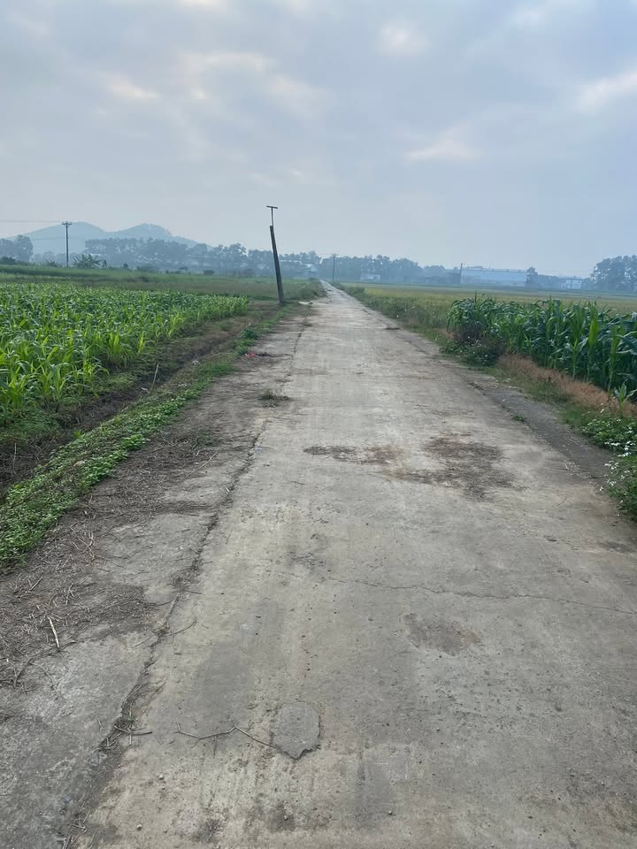 Đất đấu giá Phú Quang, Như Thanh 417m² - Giá chỉ 700 triệu, đầu tư sinh lời!