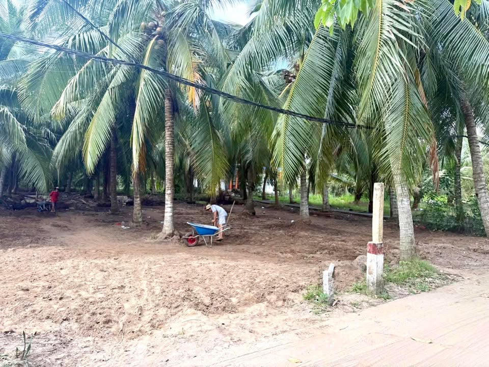 Đất thổ cư An Thới, Mỏ Cày Nam 77m² giá 490 triệu - Đường xe hơi tới đất!